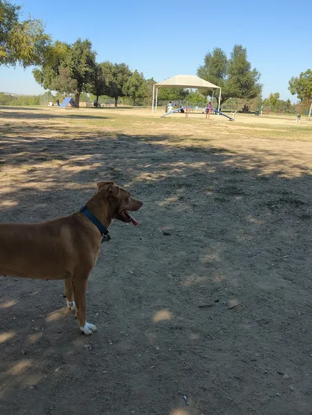 dog parks Woodward Dog Park