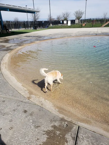 dog parks Dr. James W. Thornton Dog Park