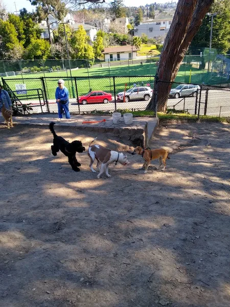 dog parks Linda Ave Dog Park