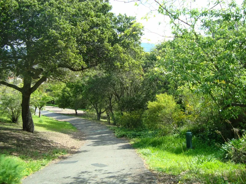 dog parks William D. Wood Park