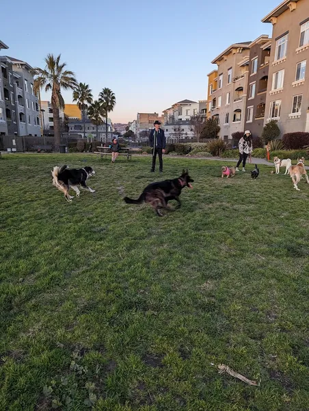 dog parks Dog Play Area at The Landing