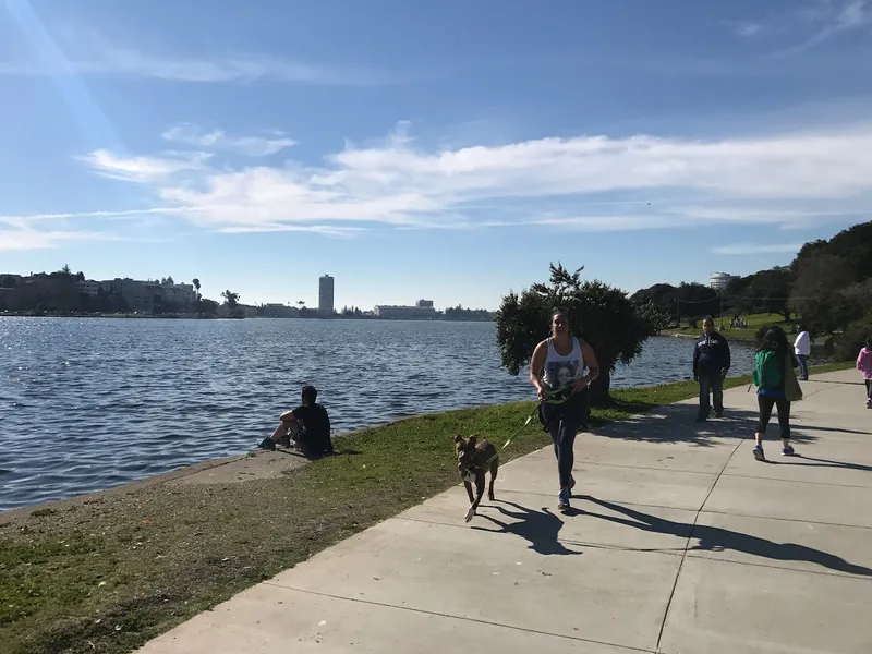 dog parks Eastshore Park