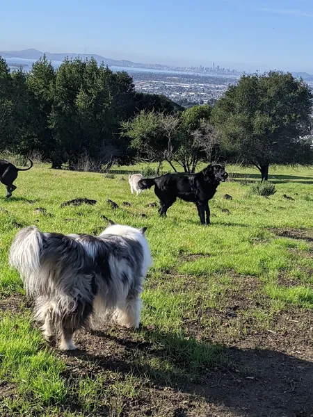 dog parks Knowland Park Open Space