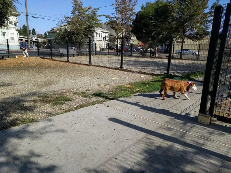 dog parks Jefferson Square Park