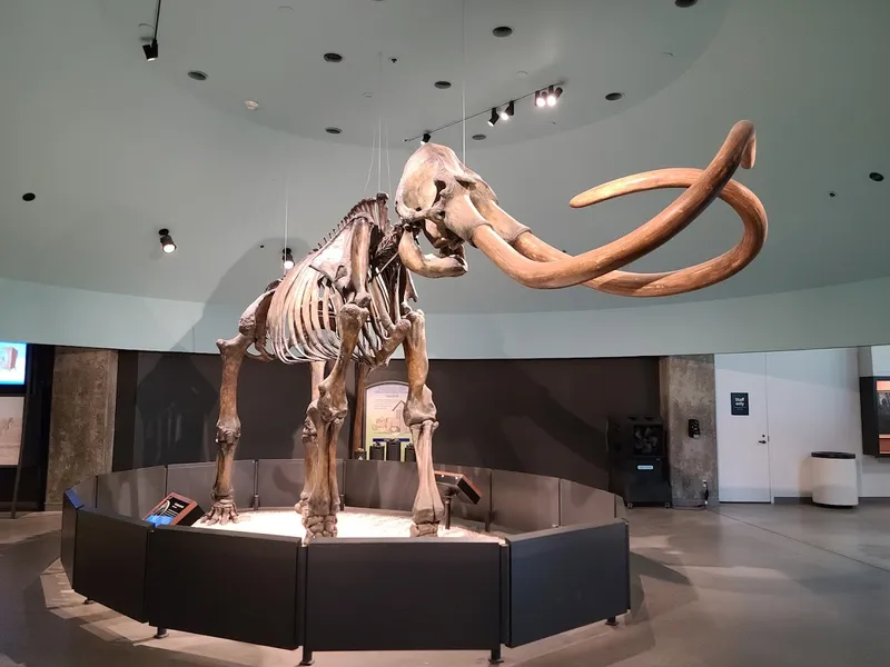 Museums La Brea Tar Pits and Museum