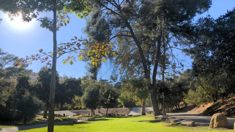 picnic spots Mineral Wells Picnic Area