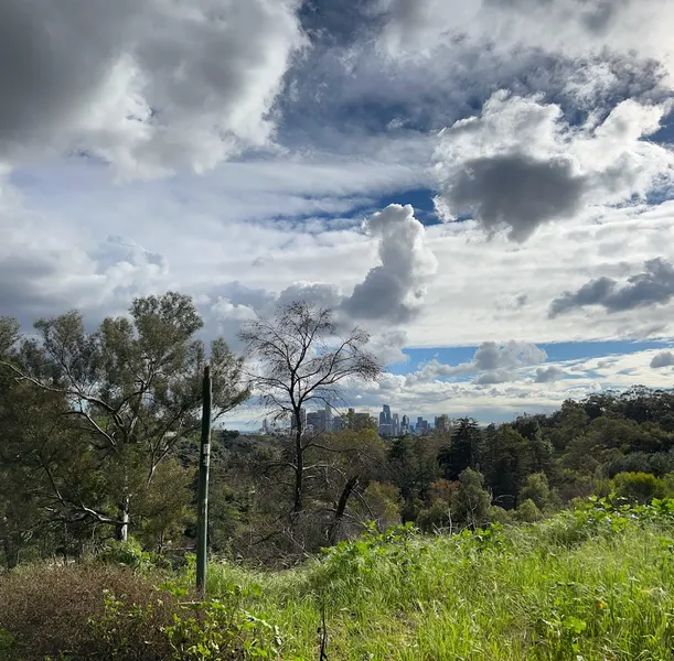 Elysian Park Picnic Site #4