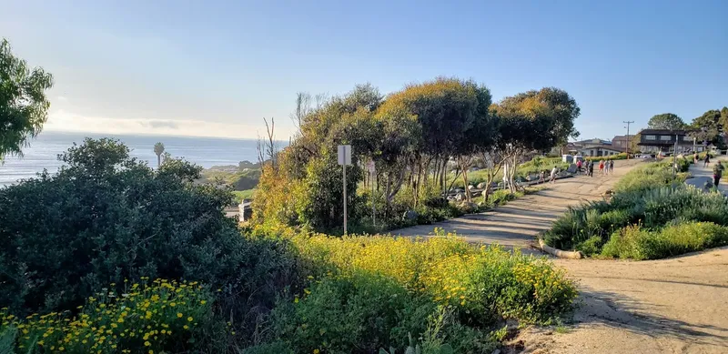 picnic spots Sunset Cliffs Natural Park