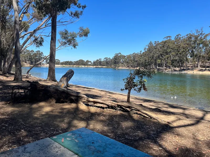 picnic spots Chollas Lake Park