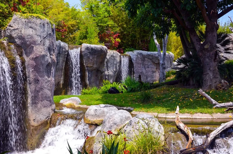 picnic spots San Diego Zoo Picnic Area