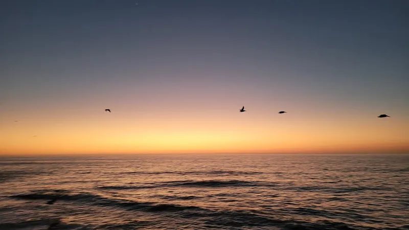 Ellen Browning Scripps Park