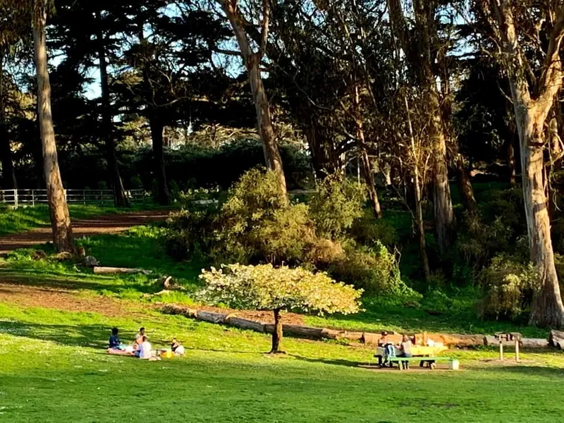 picnic spots Hellman Hollow Picnic Area