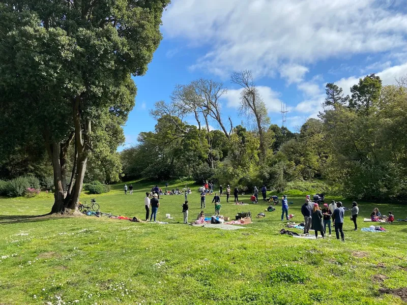 picnic spots Bunny Meadow