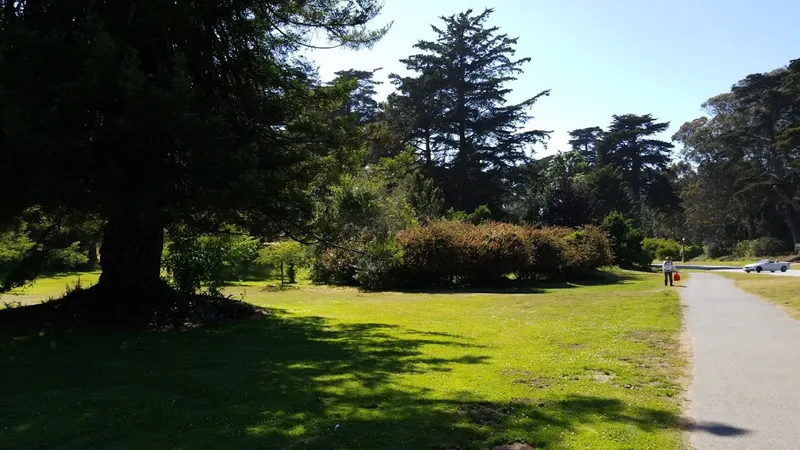 picnic spots Hoover Redwood Grove Picnic Area