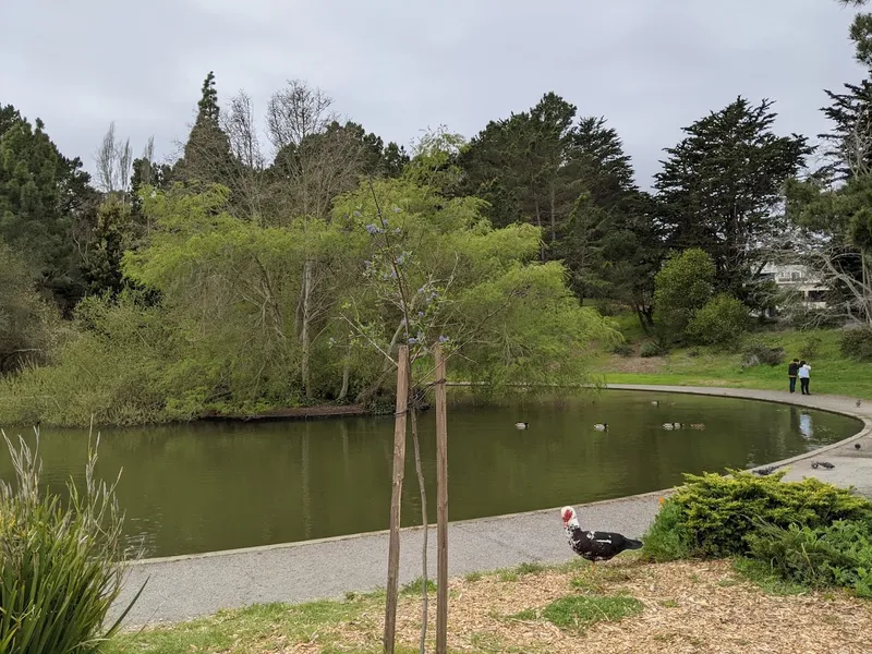 Parks John McLaren Park