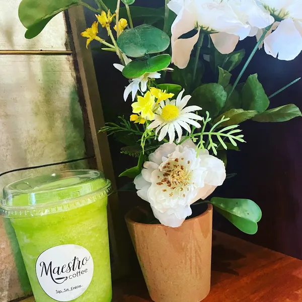 matcha Maestro Coffee Shop