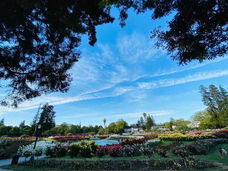 outdoor activities Municipal Rose Garden