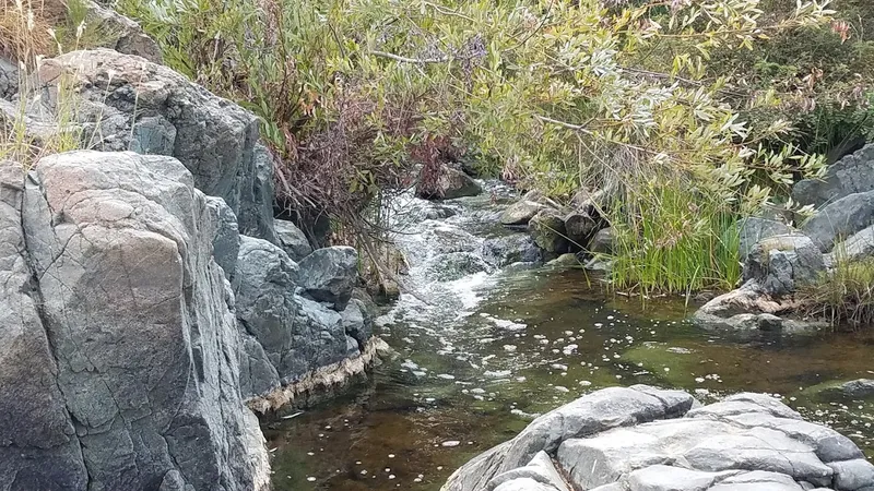 waterfalls Los Penasquitos Canyon Trailhead