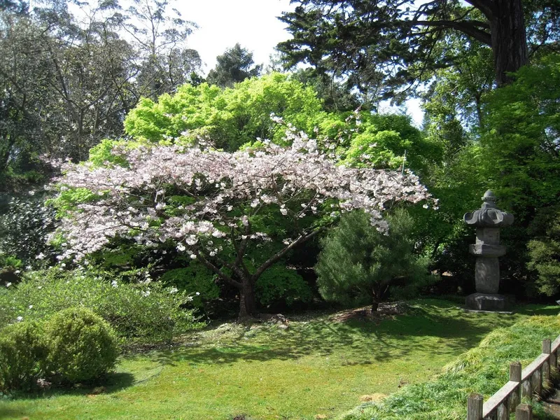 San Francisco Botanical Garden