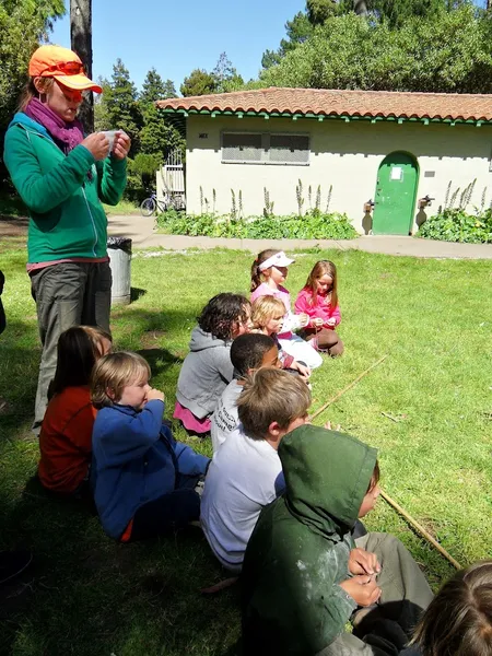 summer camps Tree Frog Treks