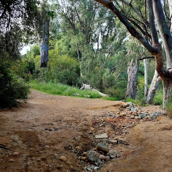 Kid-friendly bike trails Switzer Canyon - East