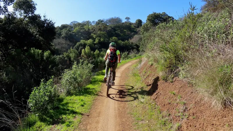 Kid-friendly bike trails Calero County Park