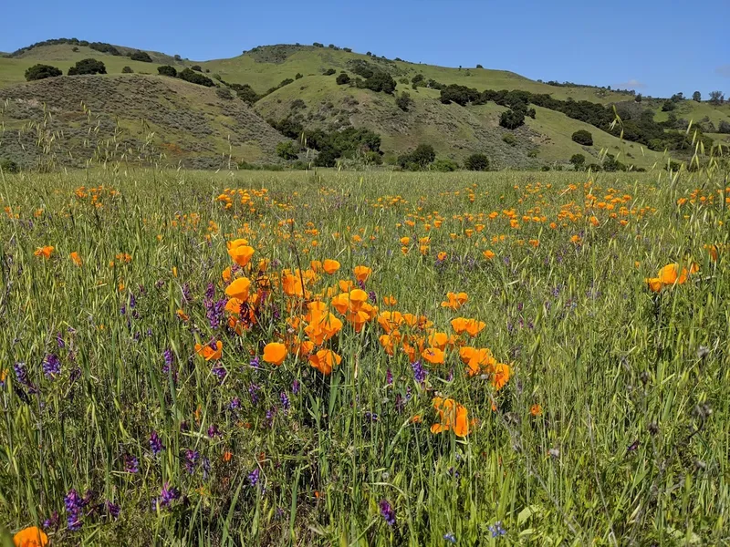 Kid-friendly bike trails Coyote Creek Trail