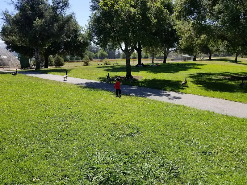 Kid-friendly bike trails Penitencia Creek Park