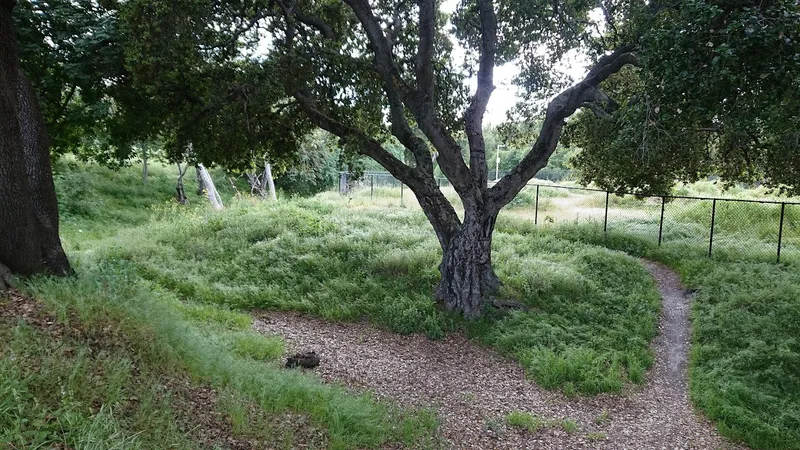 Kid-friendly bike trails Calabazas Park