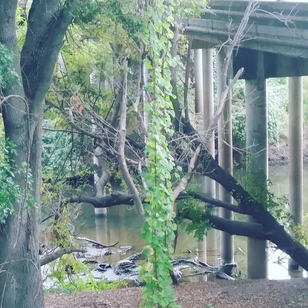 Discovery Park Garden Highway Entrance