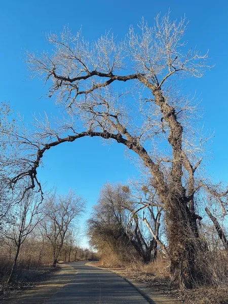 American River Parkway Trailhead