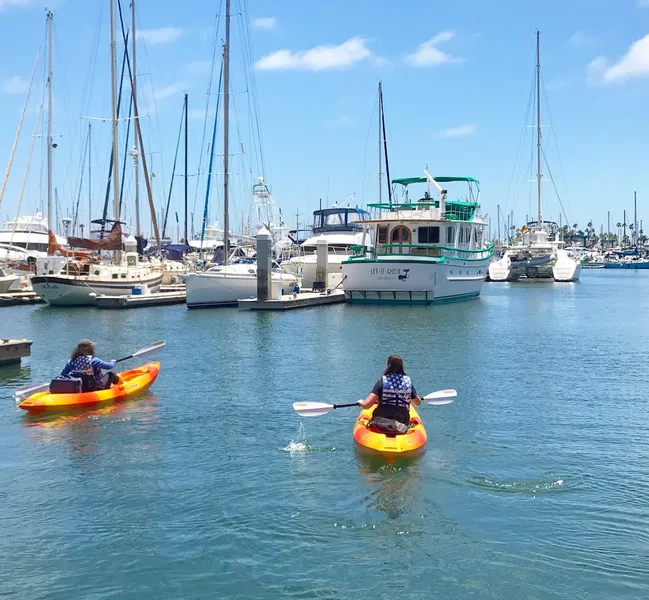 places to go kayaking Disco’s Paddle Surf - Kayak and Paddle Board Rentals and Sales