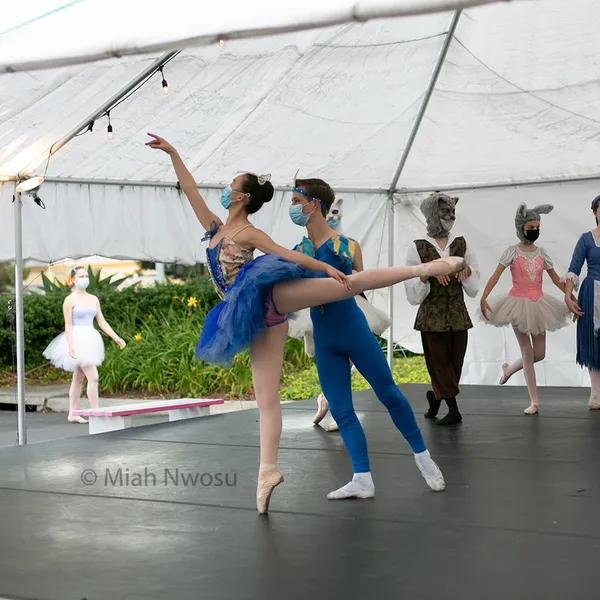 ballet classes Scripps Performing Arts Academy Carmel Valley