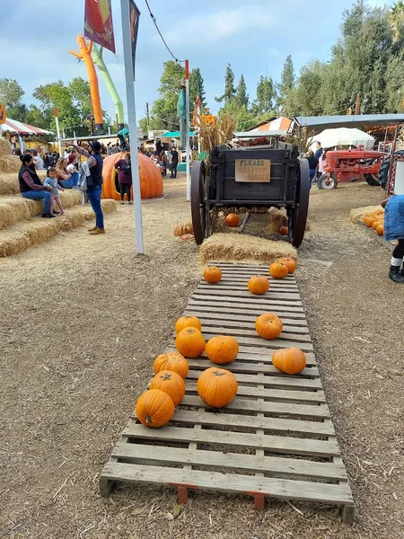 pumpkin desserts Tapia Brothers Inc. in Encino