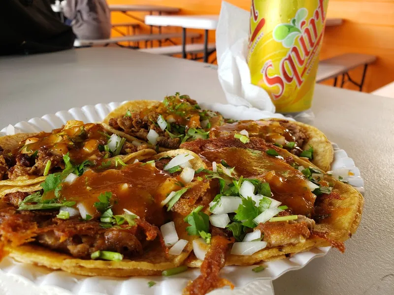 Nachos Tacos Sinaloa