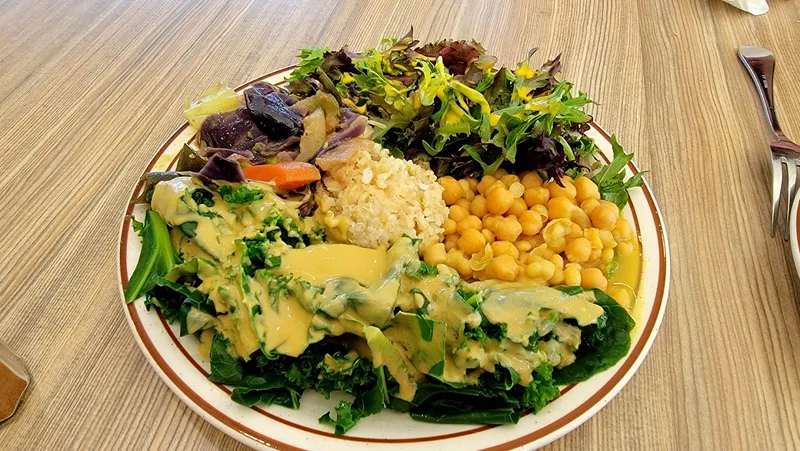 salads Himalaya Vegan Organic Restaurant