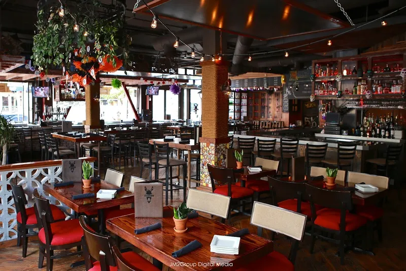 Tex Mex restaurants Cocina 35