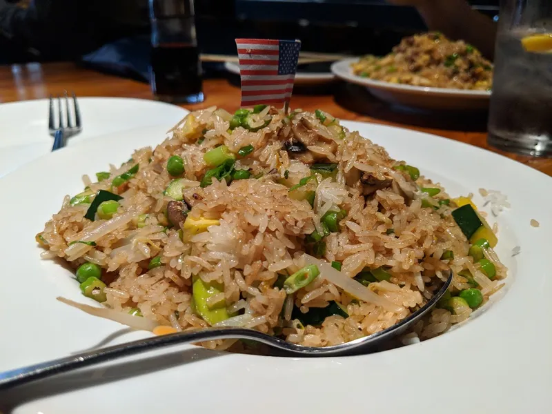 Fried rice Wokcano