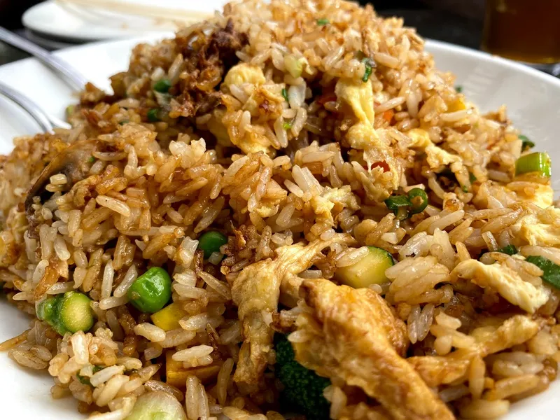 Fried rice Wokcano