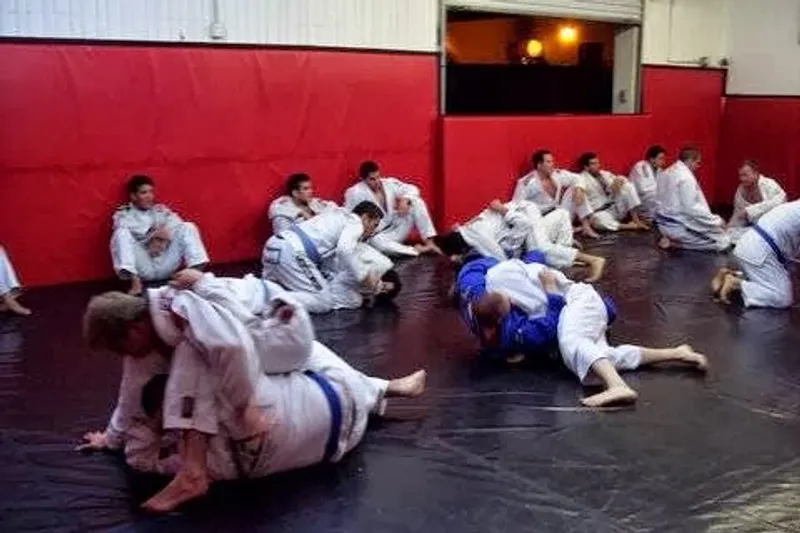 Jiu Jitsu Classes Brazilian Jiu-Jitsu Fabio Santos