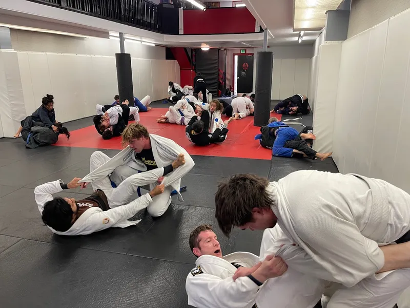 Jiu Jitsu Classes Empire Jiu Jitsu