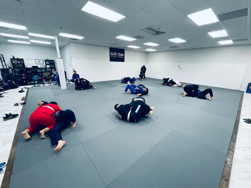 Jiu Jitsu Classes Elite Team Fresno Brazilian Jiu Jitsu