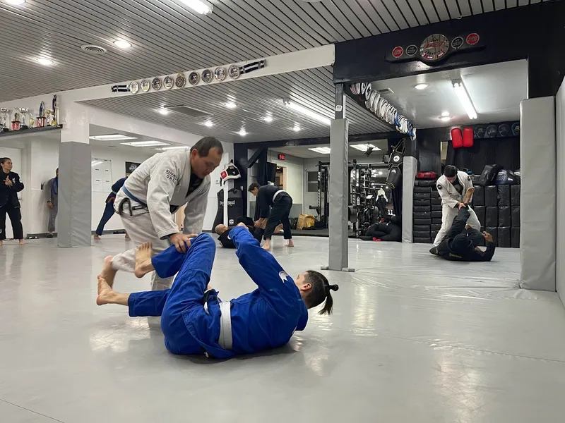 Jiu Jitsu Classes Fight Solutions HQ