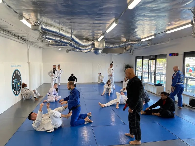 self defense Classes Like Water Jiu Jitsu