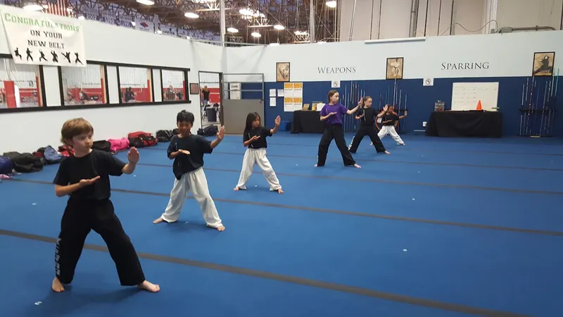 Martial Arts Classes Team XSAMA School of Movement