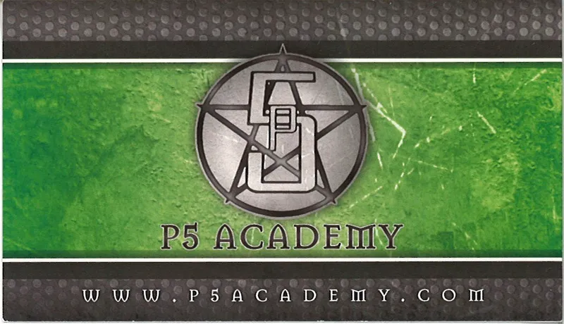 Martial Arts Classes P5 Academy