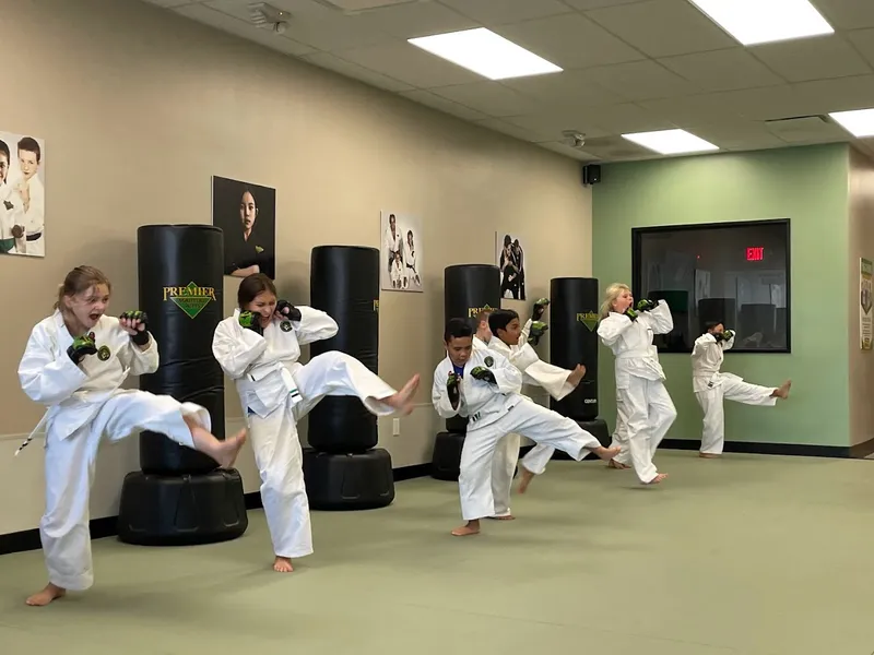 Martial Arts Classes Premier Martial Arts Rancho Bernardo