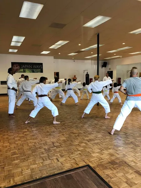 Martial Arts Classes Japan Ways Traditional Karate