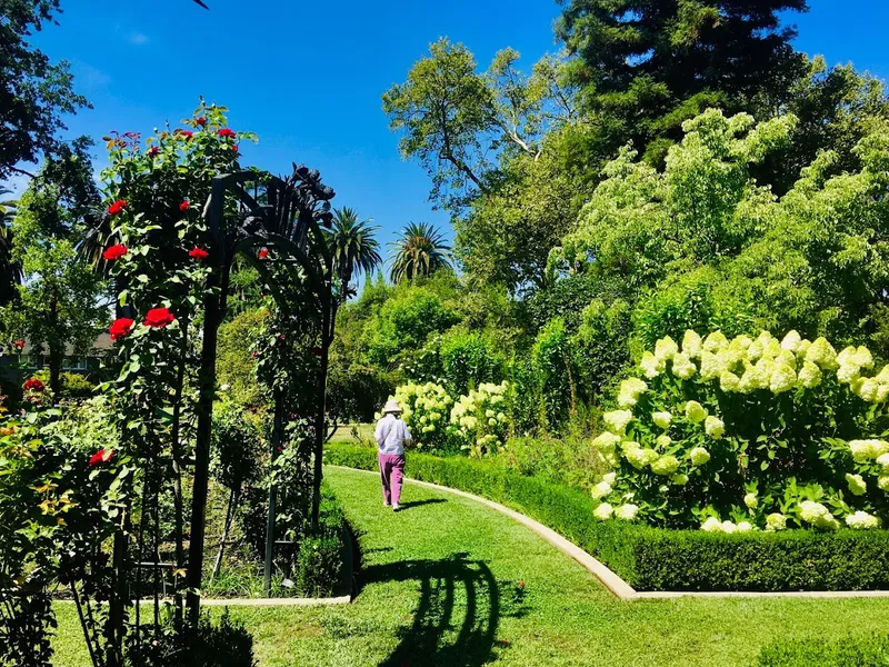 outdoor activities McKinley Rose Garden