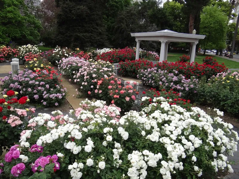 outdoor activities State Capitol Park World Peace Rose Garden